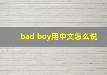 bad boy用中文怎么说